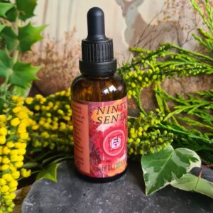 Base root chakra oil blend high frequency Reiki Master sacred geometry and crystal charged 50ml