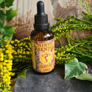 Solar plexus chakra oil blend high frequency Reiki Master sacred geometry and crystal charged 50ml