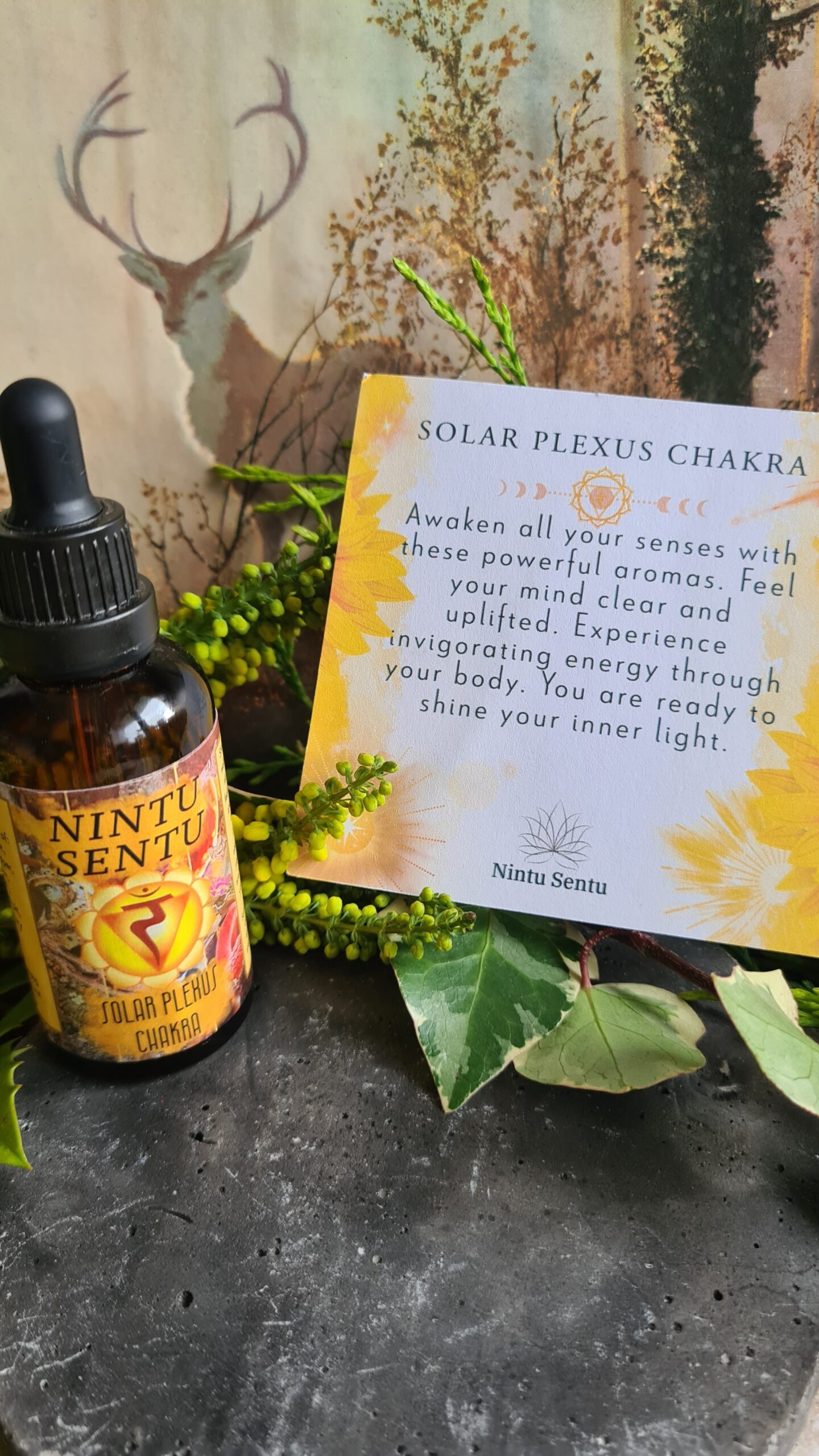Solar plexus chakra oil blend high frequency Reiki Master sacred geometry and crystal charged 50ml - Image 3