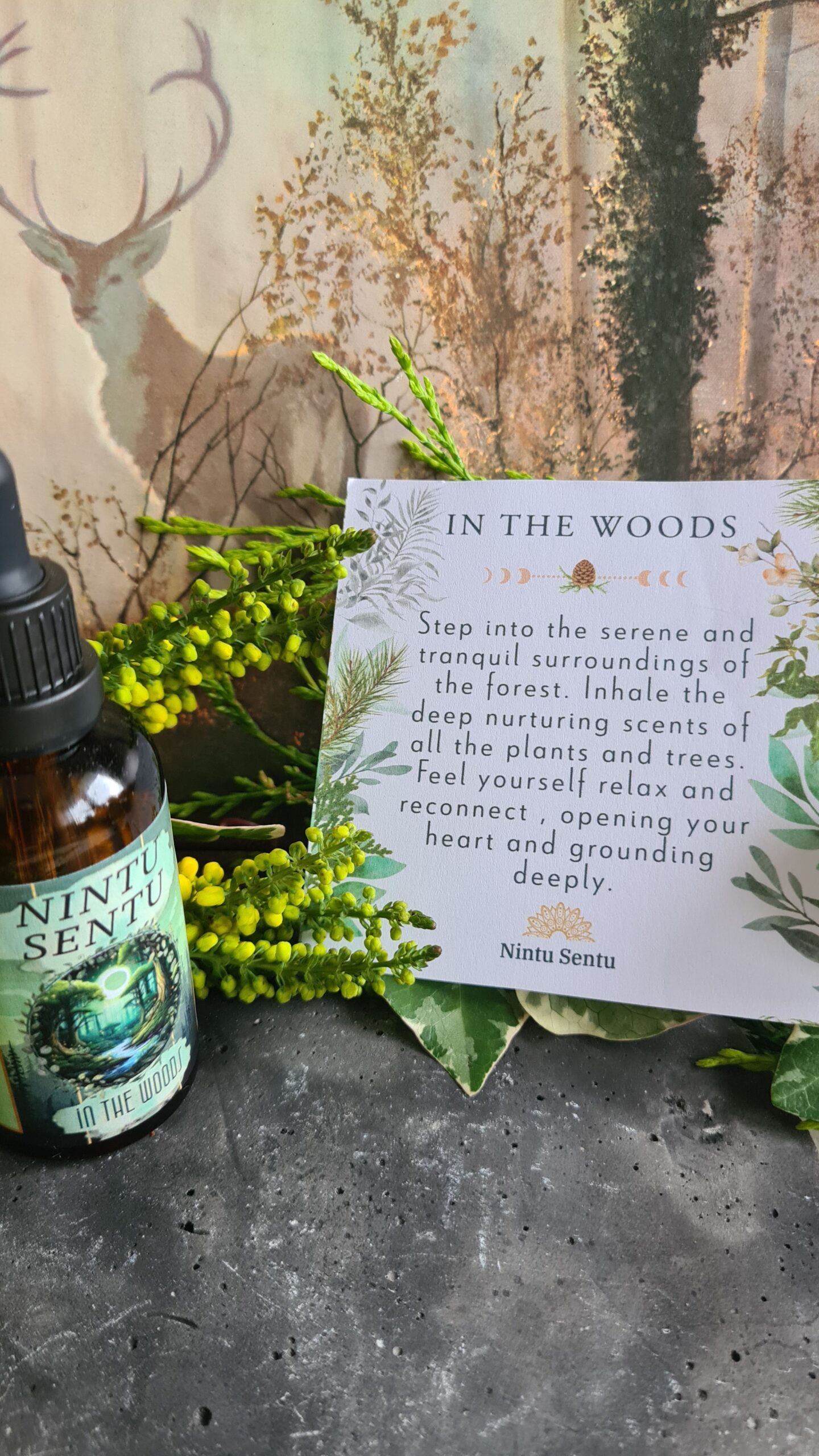 In the Woods essential oil blend high frequency Reiki Master sacred geometry and crystal charged - Image 3