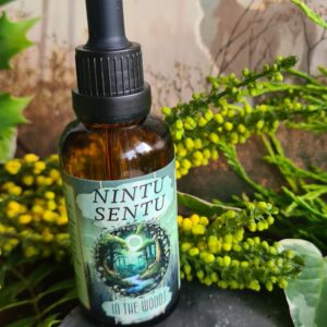 In the Woods essential oil blend high frequency Reiki Master sacred geometry and crystal charged