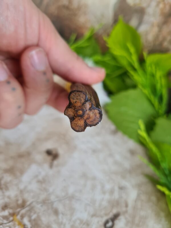 Shamanic Ayahuasca handle rattle with Amethyst crystal - Image 4
