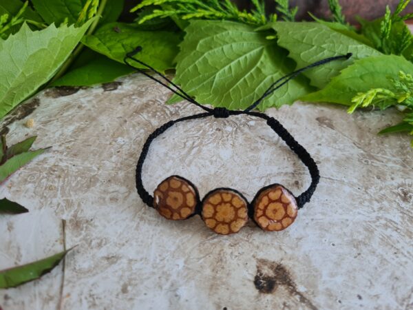 Triple Ayahuasca slice bracelet with black macrame cord