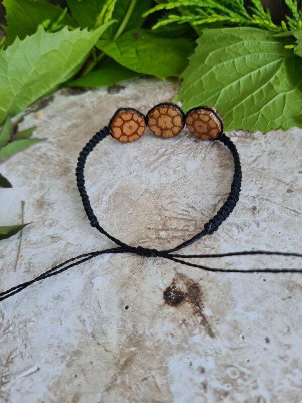 Triple Ayahuasca slice bracelet with black macrame cord - Image 5