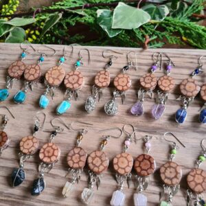 Ayahuasca slice earrings with crystals