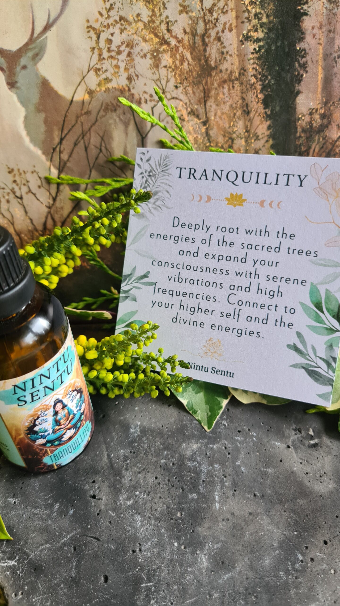 Tranquility oil blend high frequency Reiki Master sacred geometry and crystal charged 50ml - Image 3
